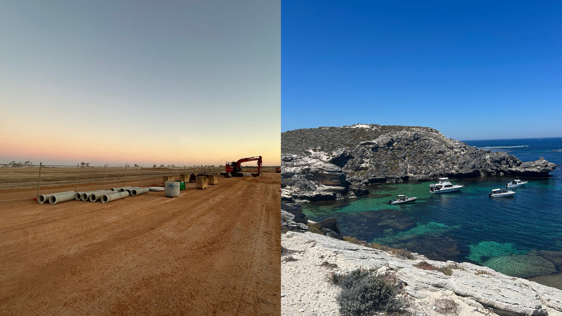 Østkysten vs. Vest Australien – hvad er bedst til Working Holiday?