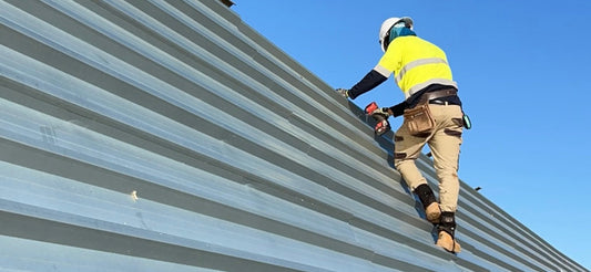 Det bedste job i sabbatåret – og hvorfor det måske er i Australien